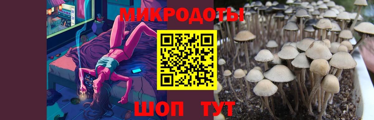 Псилоцибиновые грибы прущие грибы  Вход с VPN  сколько стоит  Фролово 